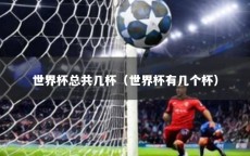 世界杯总共几杯（世界杯有几个杯）