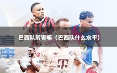 巴西队厉害嘛（巴西队什么水平）