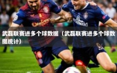 武磊联赛进多个球数据（武磊联赛进多个球数据统计）