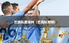 巴西队遭误判（巴西队视频）