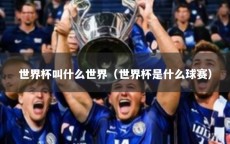 世界杯叫什么世界（世界杯是什么球赛）