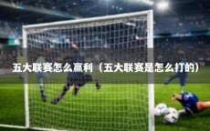五大联赛怎么赢利（五大联赛是怎么打的）