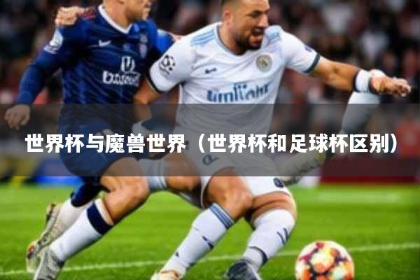 世界杯与魔兽世界(世界杯和足球杯区别)