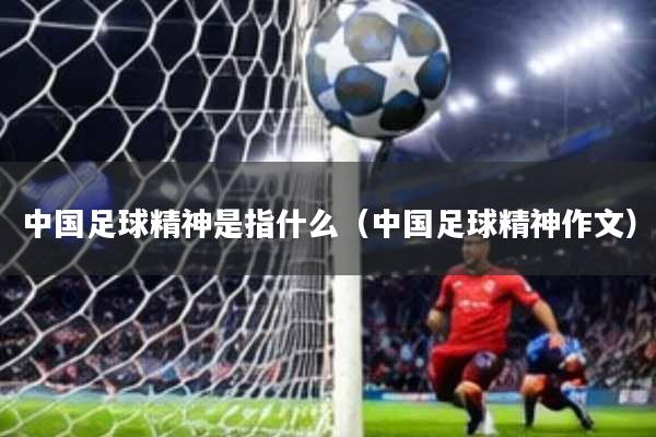 中国足球精神是指什么(中国足球精神作文)