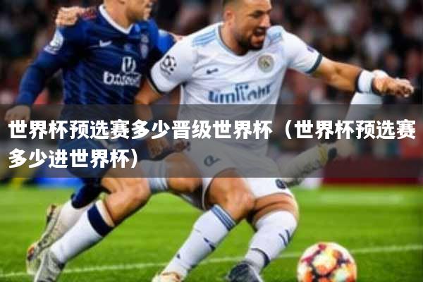 世界杯预选赛多少晋级世界杯(世界杯预选赛多少进世界杯)
