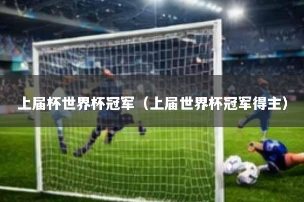 上届杯世界杯冠军(上届世界杯冠军得主)