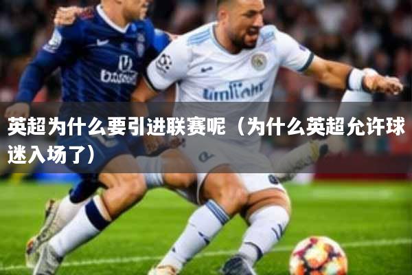 英超为什么要引进联赛呢(为什么英超允许球迷入场了)